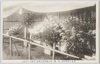 大正二年十月三十一日　第一次天長節祝典記念　日比谷ノ菊花壇/October 31st, 1913: Commemoration of the Taishō Emperor's First Birthday Celebration, Chrysanthemum Flower Bed, Hibiya image