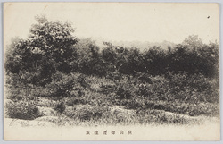 桃山御陵遠景 / Distant View of the Momoyama Imperial Mausoleum image