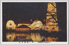 (平和記念東京博覧会)第二会場夜景/(Peace Commemoration Tokyo Exposition) Night View of Site No. 2 image