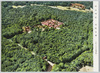 社殿全景(右上は宝物殿)/Full View of the Sanctuary (Top Right Is the Treasure Hall) image