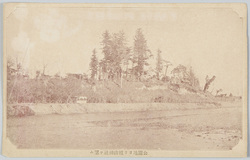 公園地ヨリ頼政神社ヲ望む / View of the Yorimasa Shrine from a Park image