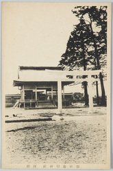 縣社藤樹神社拝殿 / Prefectural Shrine Toju Shrine: Worship Hall image