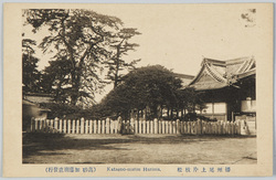 播州尾上片枝松　Kataeno-matsu　Harima　 / Katae no Matsu Pine Tree, Onoe, Banshū  image