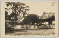播州尾上片枝松 Kataeno-matsu Harima / Katae no Matsu Pine Tree, Onoe, Banshū image