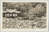 昌徳宮秘苑内芙蓉亭/Buyongjeong Pavilion in the Secret Garden in the Changdeokgung Palace Complex image