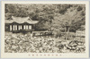 昌徳宮秘苑内芙蓉亭/Buyongjeong Pavilion in the Secret Garden in the Changdeokgung Palace Complex image