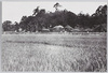 明治の芭蕉庵/(Sekiguchi Bashoan) Bashoan in the Meiji Period image