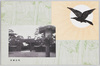 明治神宮/Meijijingu Shrine  image