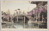 亀戸神社の女太鼓橋/Kameido Shrine: Onna (Female) Arched Bridge (Located after the Crossing of the Otoko (Male) Arched Bridge) image
