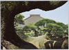 名松影向の松東京小岩江戸川河畔善養寺根もと上部/Great Pine Tree, Yogo no Matsu (Pine Tree Regarded as Deity's Manifestation), at the Zenyoji Temple on the Edogawa Riverbank, Koiwa, Tokyo: Upper Part of the Base image