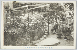 共立女子職業学校寄宿舎中庭 / Kyoritsu Women's Vocational School: Courtyard of the Boarding House image