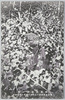 神風凱旋第一夜朝日新聞社前で立往生の両勇士の自動車/On the First Night after the Triumphant Return of Kamikaze, The Car of the Two Heroes Came to a Standstill in Front of the Asahi Shimbun Company Building image