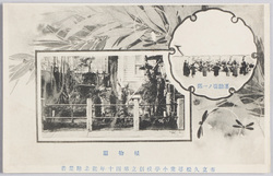 市立久松尋常小学校創立第四十年記念絵葉書植物園　運動場ノ一部 / Picture Postcard Commemorating the 40th Anniversary of Municipal Hisamatsu Primary School: Botanical Garden, A Part of the Playground image