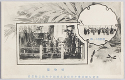 市立久松尋常小学校創立第四十年記念絵葉書植物園 運動場ノ一部 / Picture Postcard Commemorating the 40th Anniversary of Municipal Hisamatsu Primary School: Botanical Garden, A Part of the Playground image