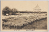 東京府立園芸学校(切花園)/Tokyofu Horticultural School (Cut Flower Growing Area) image