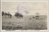 習志野原ニ於ケル歩兵ノ演習　/Military Exercise of Infantrymen on the Narashino Plain image