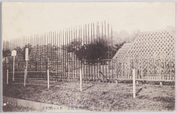 宮城二重橋前ニ於ケル戦利品 / War Trophies in Front of the Nijūbashi Bridge at the Imperial Palace image