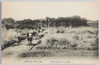 野砲兵実弾演習(於美作日本原野)/Field Artillerymen Live-Ammunition Exercise (on the Nihombarano Field in Mimasaka) image