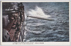 駆隊艦魚形水雷発射/Destroyer Firing a Torpedo image