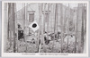 江湾総攻撃に竹林中を突進する我機関銃隊/Japanese Machine Gun Unit Rushing through a Bamboo Thicket to Launch an All-Out Attack on Jiangwan image