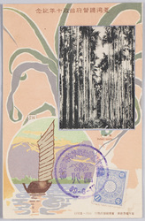 台湾総督府始政十年紀念檳椰木 / Commemoration of the 10th Anniversary of the Governance by the Government-General of Taiwan, Betel Nut Palm Trees image
