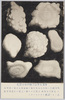 明治四十一年六月八日大雹絵葉帝国大学教授田中博士実写/Picture Postcards of the Heavy Hailstorm on June 8th, 1908: Picture Taken by Dr. Tanaka, Professor of the Imperial University image