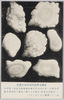 明治四十一年六月八日大雹絵葉帝国大学教授田中博士実写/Picture Postcards of the Heavy Hailstorm on June 8th, 1908: Picture Taken by Dr. Tanaka, Professor of the Imperial University image