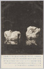 明治四十一年六月八日大雹絵葉大雹塊/Picture Postcards of the Heavy Hailstorm on June 8th, 1908: Large Hailstones image