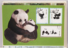 しっかりダッコ。中国のパンダ切手。/Firmly Cuddling; Chinese Panda Stamp image