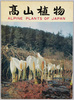 高山植物　ALPINE　PLANTS　OF　JAPAN / Alpine Plants in Japan image