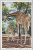 きりん(麒麟)　上野恩賜公園動物園/Giraffe, Ueno Park Zoological Gardens image