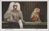 マントひひ(狒々)　上野恩賜公園動物園/Hamadryas Baboon, Ueno Park Zoological Gardens image