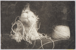 麻紐で遊ぶ猫 / Cat Playing with a Hemp Cord image