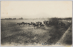 種馬育成所馬匹運動場 / Horse-Breeding Depot: Horse Exercise Field image