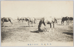 小岩井農場 / Koiwai Farm image