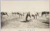 牝馬放牧(小岩井農場)/Grazing of Fillies (Koiwai Farm) image
