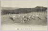 牝牛放牧(小岩井農場)/Grazing of Oxen (Koiwai Farm) image