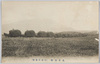 乾草運搬(小岩井農場)/Transport of Hay (Koiwai Farm) image