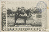 種馬育成所　サラブレッツド種(バリーヴア号三歳)/Horse-Breeding Depot: Thoroughbred Breed (Baribāgō, 3 Years Old) image