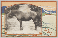 産馬畜産組合　牝馬　 / Horse Breeders' Association, Filly image
