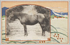 田村郡産馬畜産組合牝馬大泉号サラブレット雑種鹿毛五才/Tamuragun Horse Breeders' Association, Daisengō, Crossbred Thoroughbred, Five-Year-Old Bay Horse image
