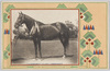 常葉産馬畜産組合　牝馬山科号内国産洋種鹿毛九才/Tokoha Horse Breeders' Association, Yamashinagō, Domestically Bred Imported Breed, Nine-Year-Old Bay Filly image
