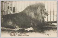 京都市立記念動物園京都市岡崎公園 / Zoological Memorial Garden Established by the City of Kyoto,Okazaki Park ,Kyoto image