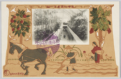農学科温室之一部 / Partial View of the Glasshouse of the Department of Agriculture image