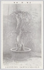 老梅銘国香/Old Plum Tree Named "Kokko (Supreme Fragrance)" image