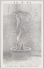 老梅銘国香/Old Plum Tree Named 