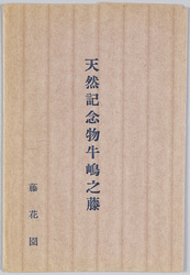 天然記念物牛嶋之藤藤花園 / Protected Species of Plant: Wisteria Flowers in Ushijima, Wisteria Flower Garden image