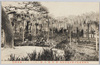 内務省指定天然記念保存物粕壁藤花園(其二)/Kasukabe Tokaen Garden Designated as Natural Monument by the Ministry of Home Affairs (2) image