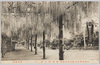内務省指定天然記念保存物粕壁藤花園(其三)/Kasukabe Tokaen Garden Designated as Natural Monument by the Ministry of Home Affairs (3) image
