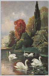 白鳥（Ｆ．Ｅ．Ｄ．Ｓｅｒｉｅ　１６３．）（外国製） / Swan (F. E. D. Series 163.) (Foreign-Made) image
